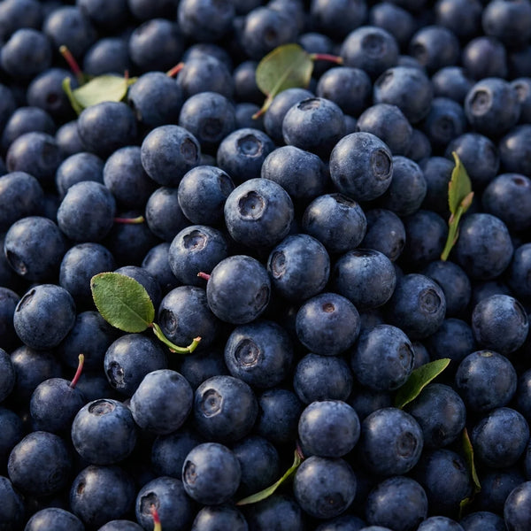 Bilberry Extract