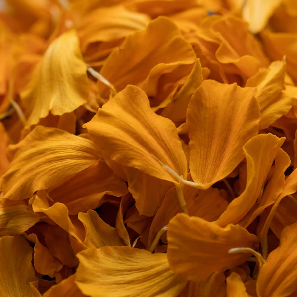 Lutein